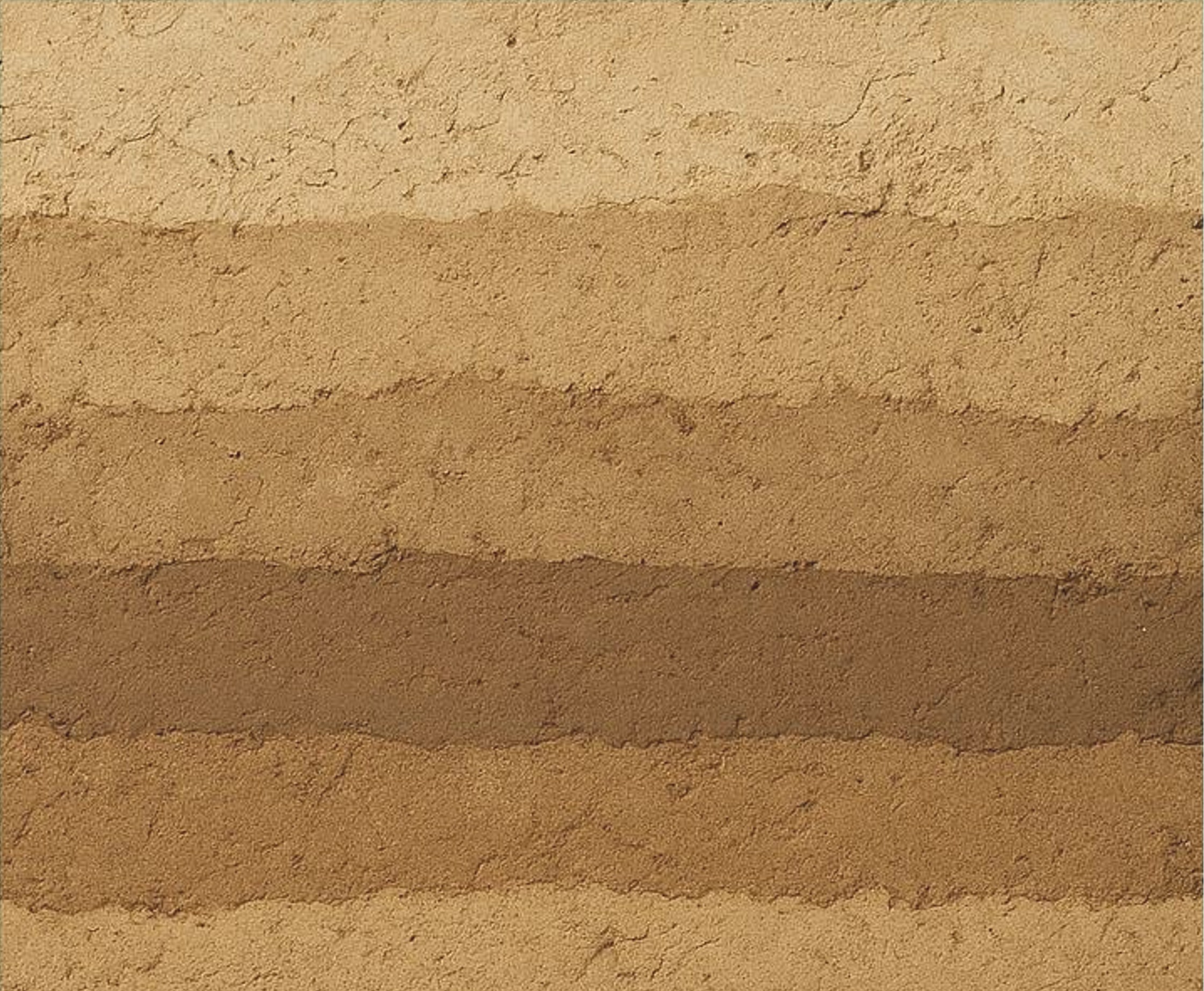 Rammed Earth