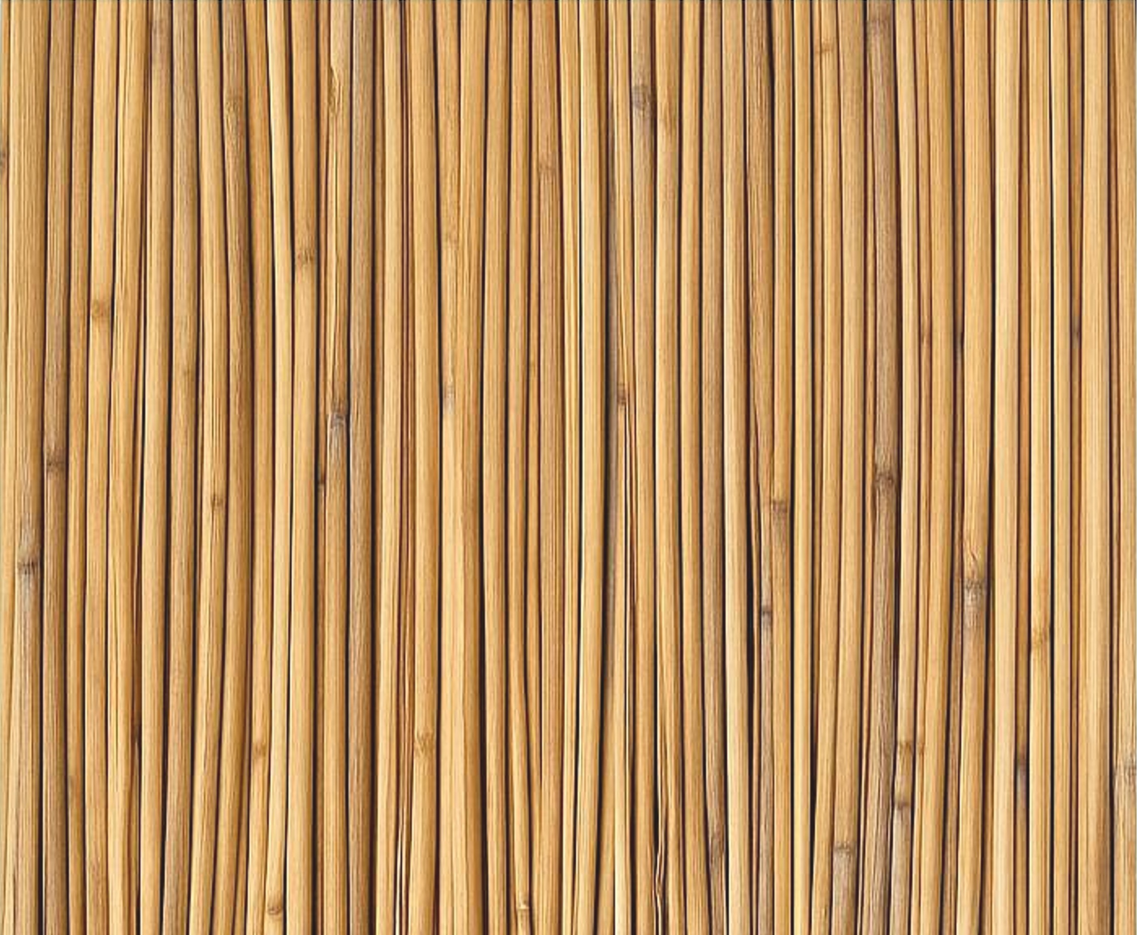 Reed Panel