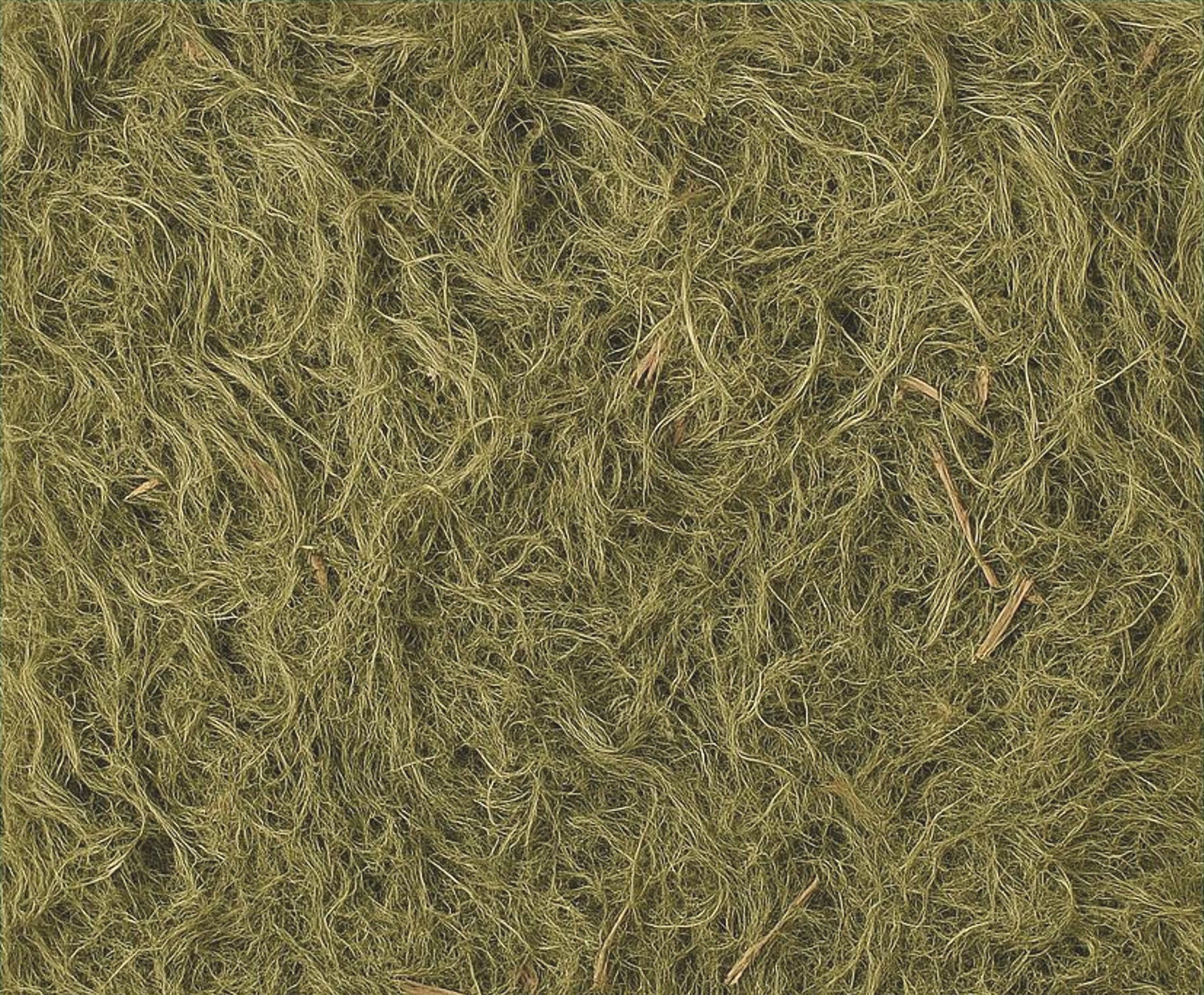 Seaweed Insulation