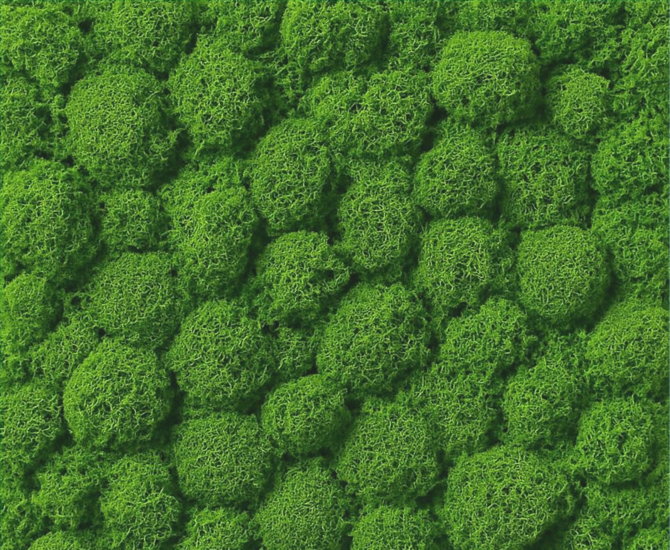 Moss Panel